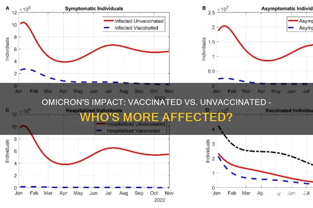 is omicron affecting vaccinated more than unvaccinated