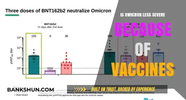 Vaccines and Omicron: Exploring the Link to Reduced Severity