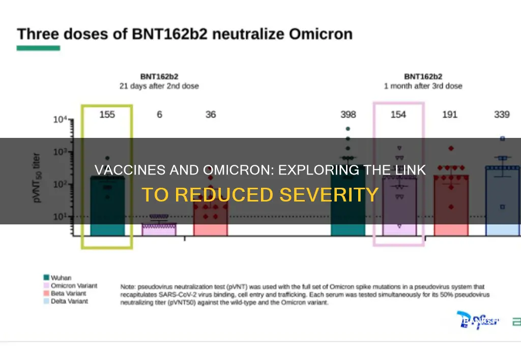is omicron less severe because of vaccines