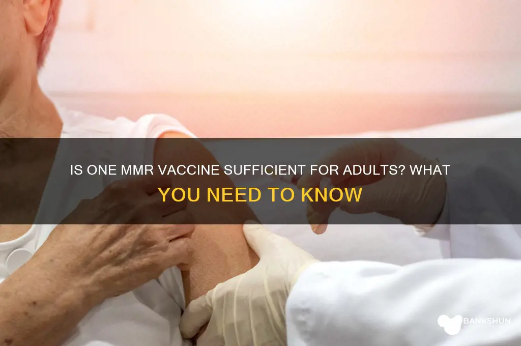 is one mmr vaccine enough for adult