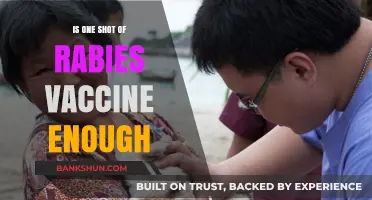 Is One Rabies Vaccine Shot Sufficient for Protection?