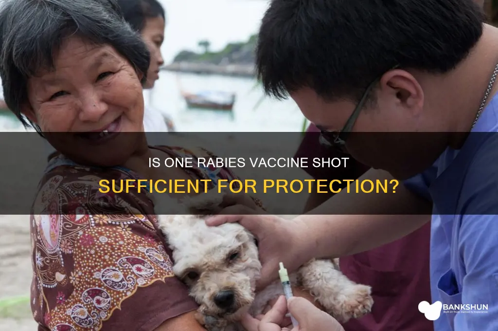 is one shot of rabies vaccine enough