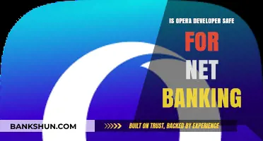 Is Opera Developer Browser Secure for Online Banking Transactions?