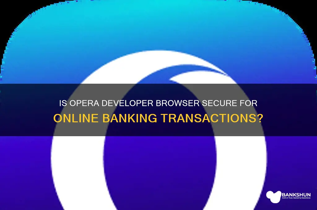 is opera developer safe for net banking