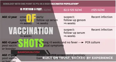 Pertussin in Vaccines: Fact or Fiction? Unraveling the Truth