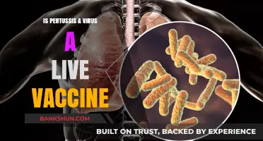 Pertussis: Understanding the Live Vaccine and Its Viral Connection