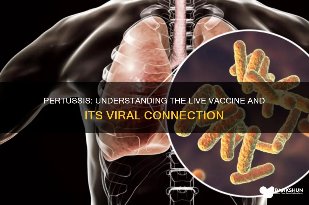 is pertussis a virus a live vaccine