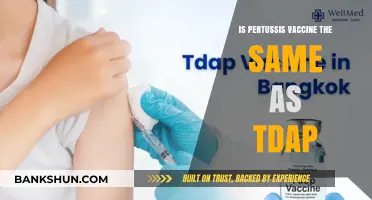 Pertussis Vaccine vs. Tdap: Understanding the Key Differences