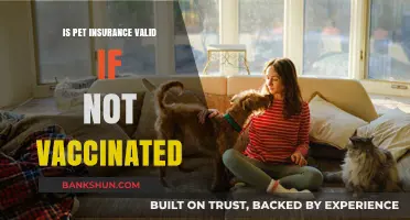 Unvaccinated Pets: Does Your Insurance Policy Still Provide Coverage?