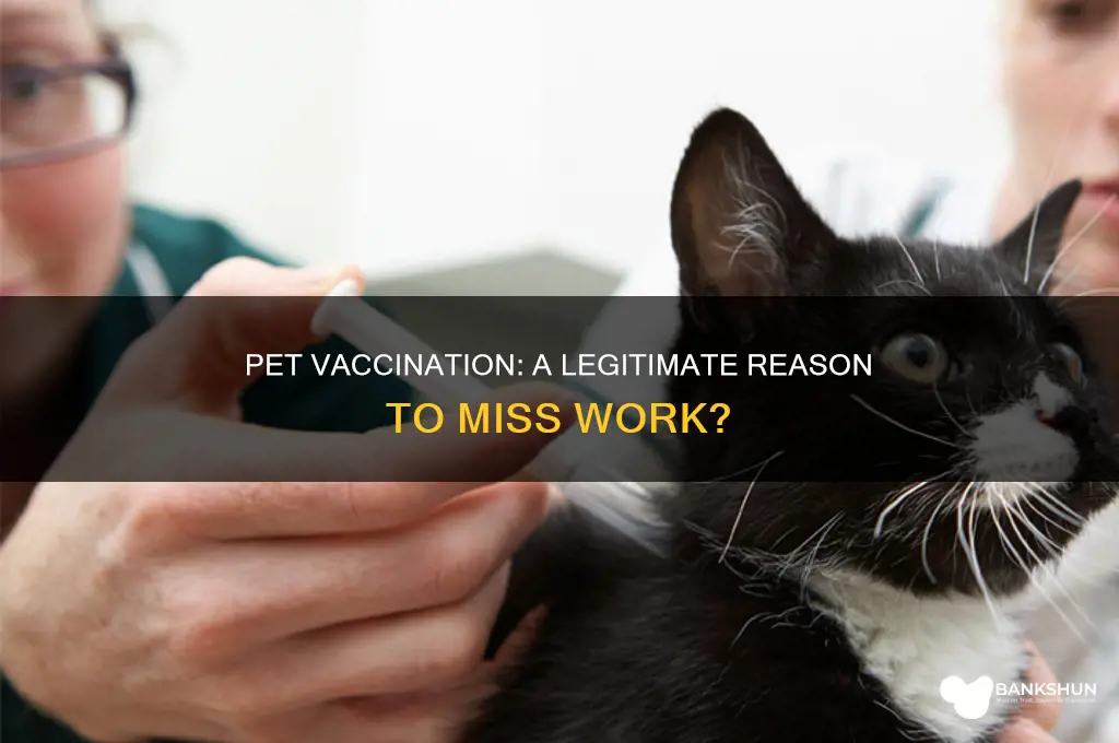 is pet vaccination a valid job excuse