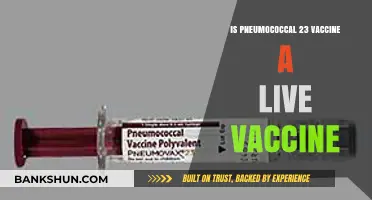 Is Pneumococcal 23 Vaccine Live or Inactivated? Key Facts