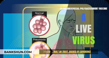 Is Pneumococcal Polysaccharide Vaccine a Live Virus? Facts Explained