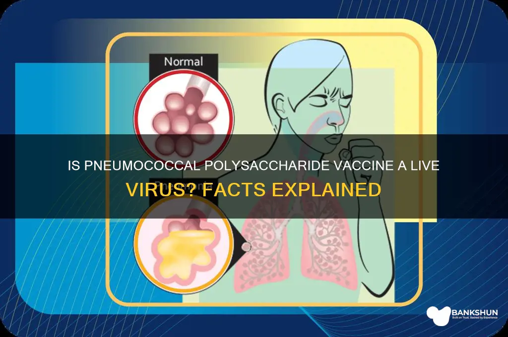 is pneumococcal polysaccharide vaccine a live virus