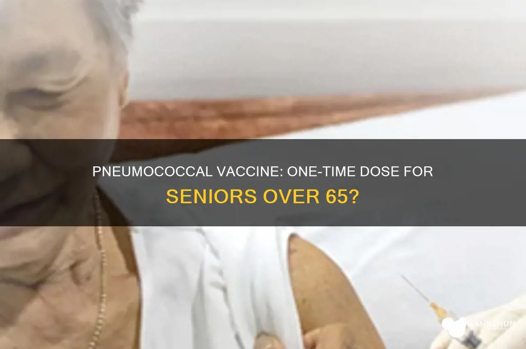 is pneumococcal vaccine 1 time after 65