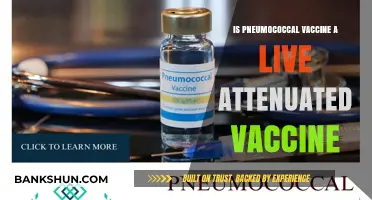 Is Pneumococcal Vaccine Live Attenuated? Understanding Its Composition
