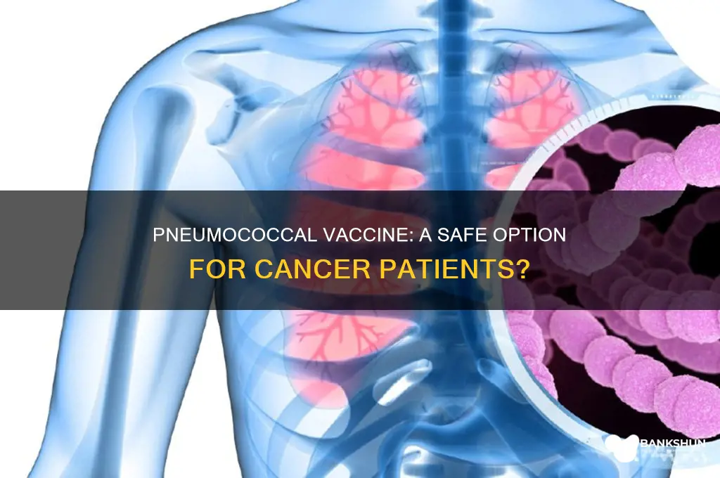 is pneumococcal vaccine appropriate for cancer patients