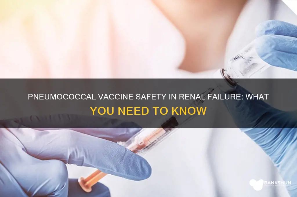 is pneumococcal vaccine contraindicated in renal failure