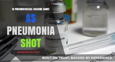 Pneumococcal Vaccine vs. Pneumonia Shot: Understanding the Key Differences