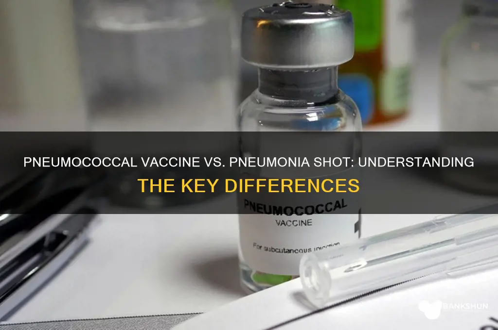 is pneumococcal vaccine same as pneumonia shot