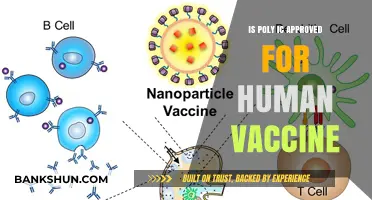 Is Poly IC Safe and Approved for Human Vaccines?