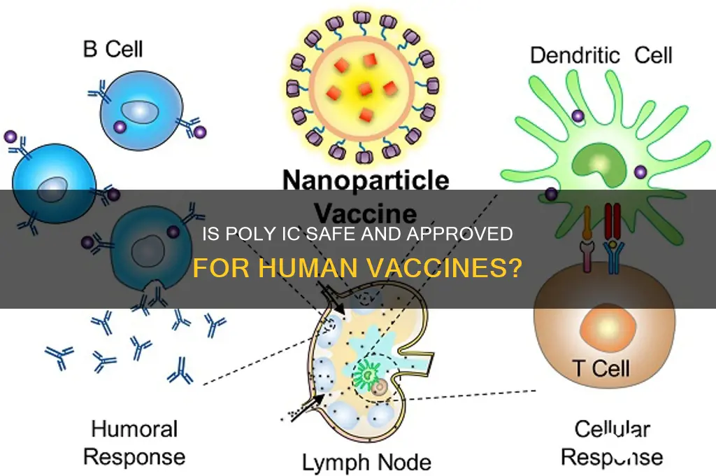 is poly ic approved for human vaccine