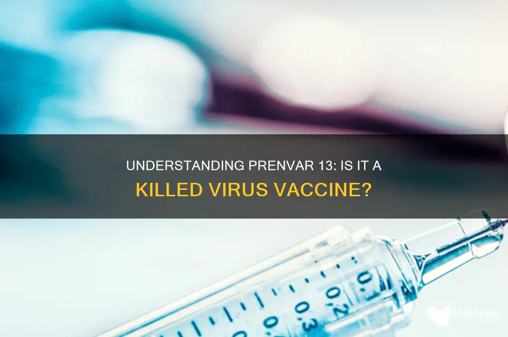 is prenvar 13 a killed virus vaccine