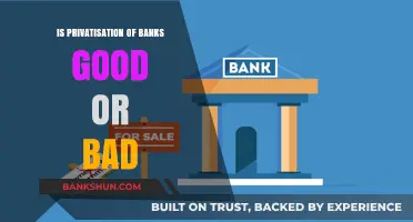 Privatizing Banks: Economic Benefits or Risky Financial Gamble?