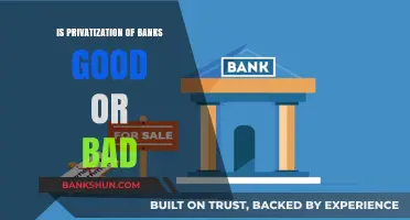 Privatizing Banks: Economic Benefits or Risky Financial Gamble?