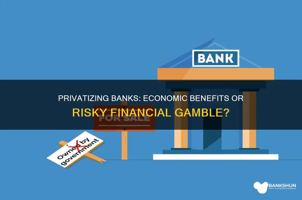 is privatization of banks good or bad
