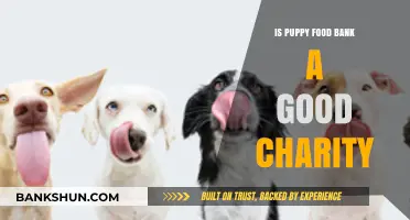 Is Puppy Food Bank a Worthy Charity? A Detailed Review