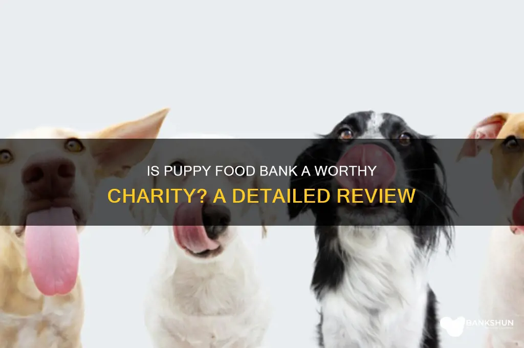 is puppy food bank a good charity