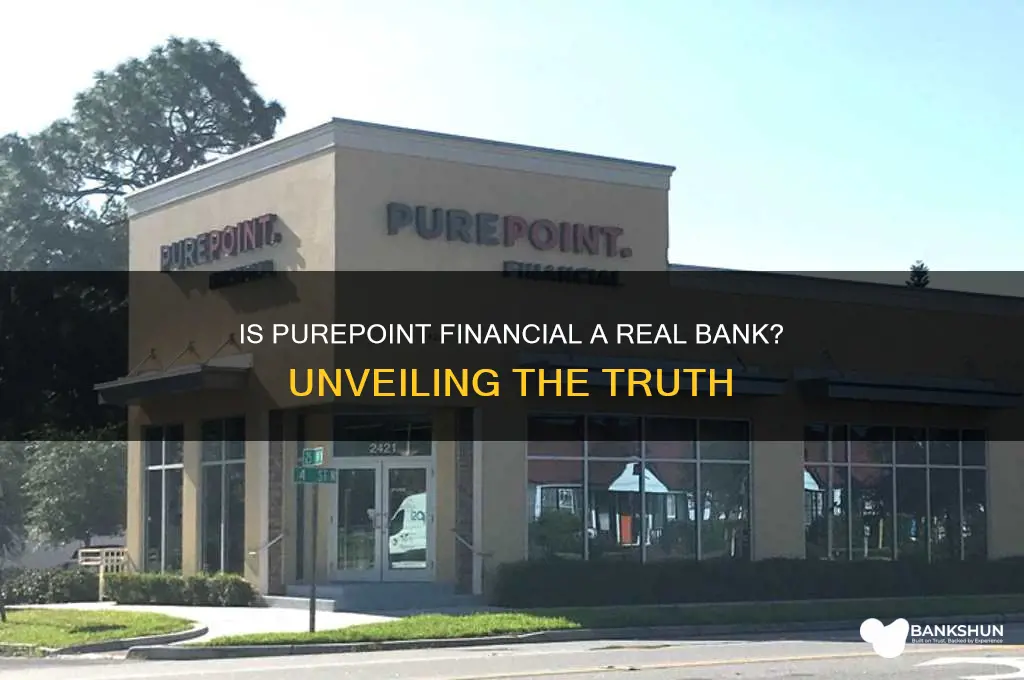 is pure point financial a real bank