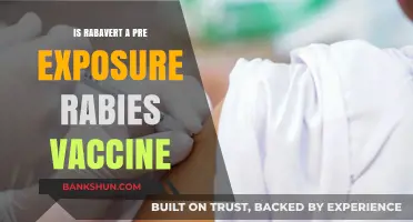 Rabavert as a Pre-Exposure Rabies Vaccine: What You Need to Know