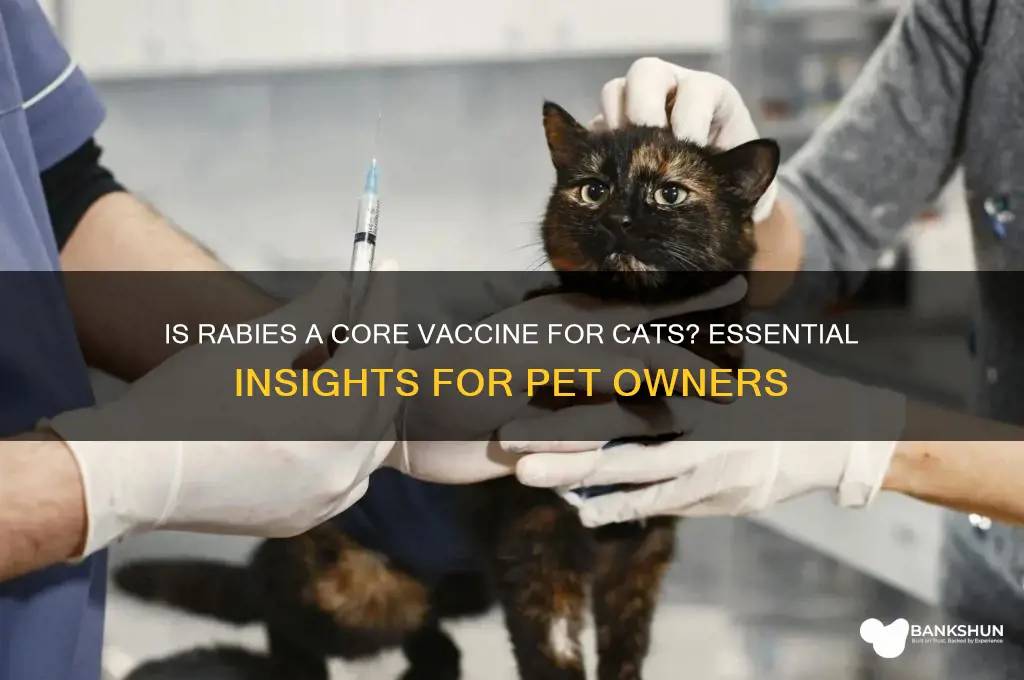 is rabies a core vaccine for cats