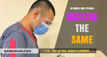 Rabies vs. Tetanus Vaccines: Understanding Their Differences and Purposes