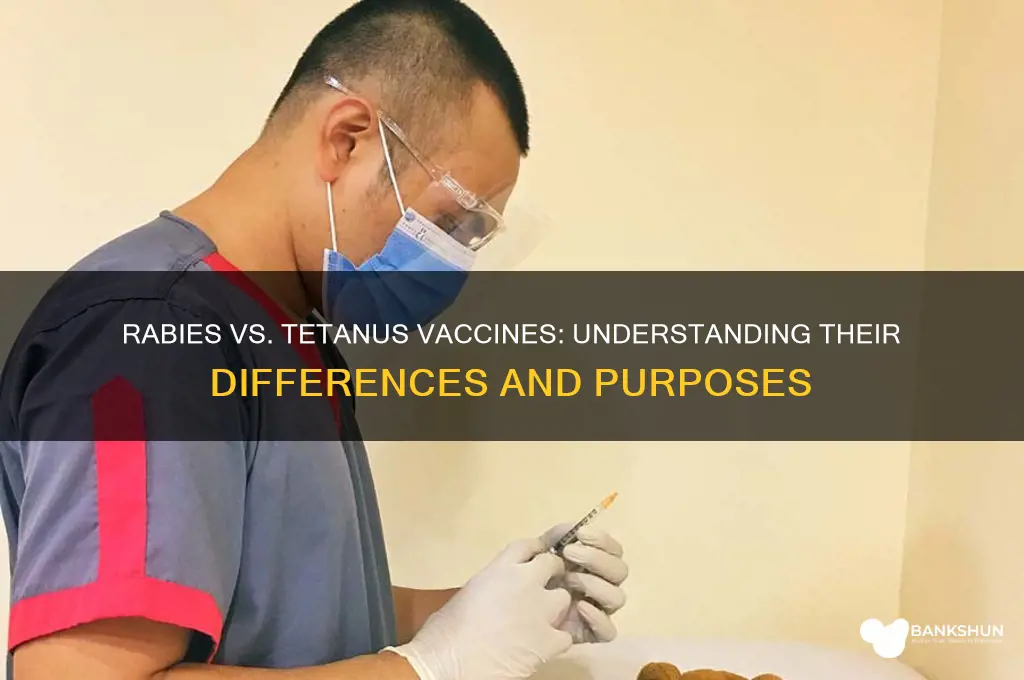 is rabies and tetanus vaccine the same