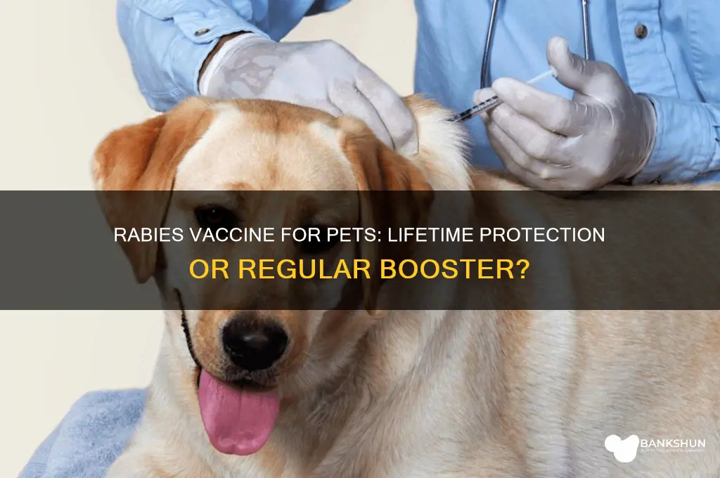 is rabies for pets a lifetime vaccine