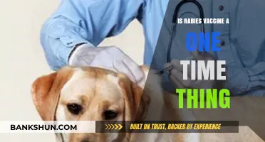 Is Rabies Vaccine a One-Time Thing? What You Need to Know