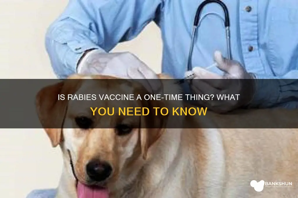 is rabies vaccine a one time thing