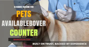 Can You Buy Rabies Vaccines for Pets Over the Counter?
