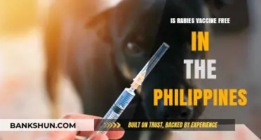 Rabies Vaccine Accessibility: Is It Free in the Philippines?
