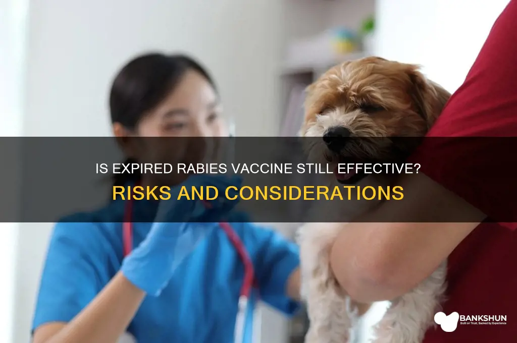 is rabies vaccine good out of date