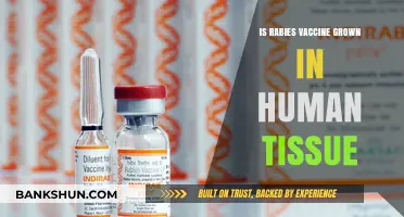 Rabies Vaccine Production: Human Tissue Involvement Explained and Debunked