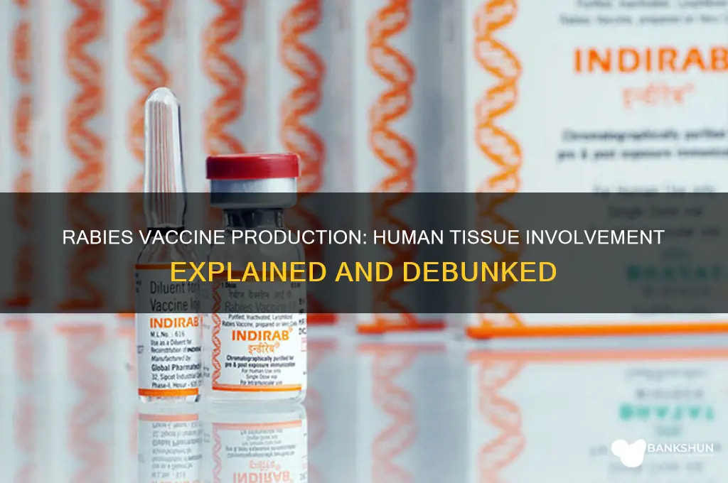 is rabies vaccine grown in human tissue