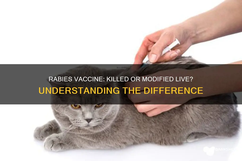 is rabies vaccine killed or modified live