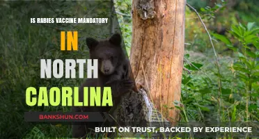 Is Rabies Vaccine Mandatory in North Carolina? What You Need to Know