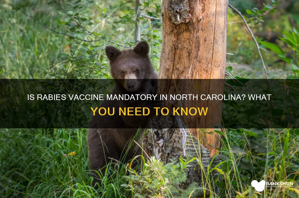 is rabies vaccine mandatory in north caorlina