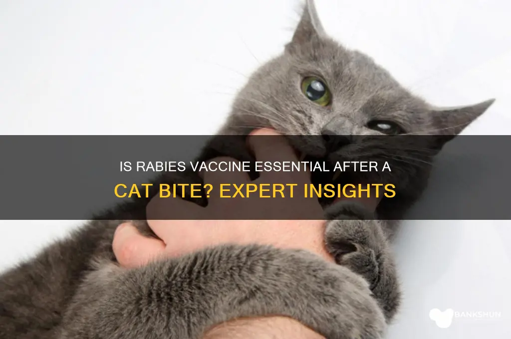 is rabies vaccine necessary for cat bite