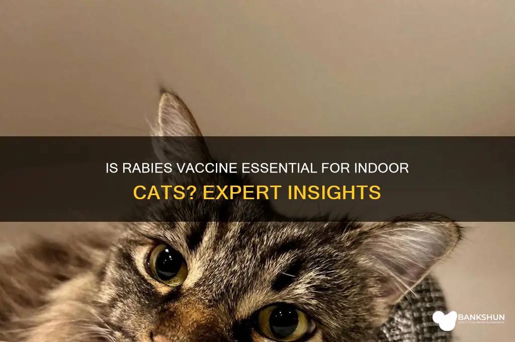 is rabies vaccine necessary for indoor cats