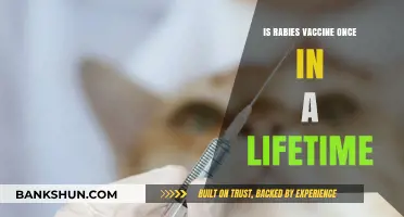 Is Rabies Vaccine a One-Time Shot? Lifetime Protection Explained